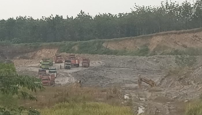 Viral Pemanfaatan Tanah Aset Desa Untuk Galian C Tuai Sorotan Publik