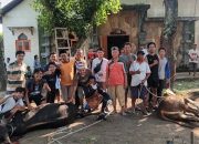 Idul Adha Menjadi Momen Semangat Berkurban PAC LDII Kecamatan Taman Gelar Pemotongan Hewan Kurban