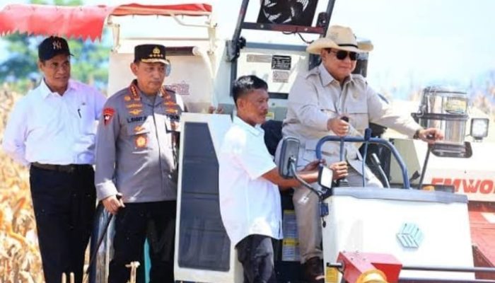 Alih Fungsi Lahan Pertanian Ancam Ketahanan Pangan Nasional