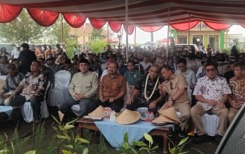 Gubernur Jateng Luncurkan Gerakan Tanam 12 Juta Mangrove Selamatkan Pesisir Jawa Tengah