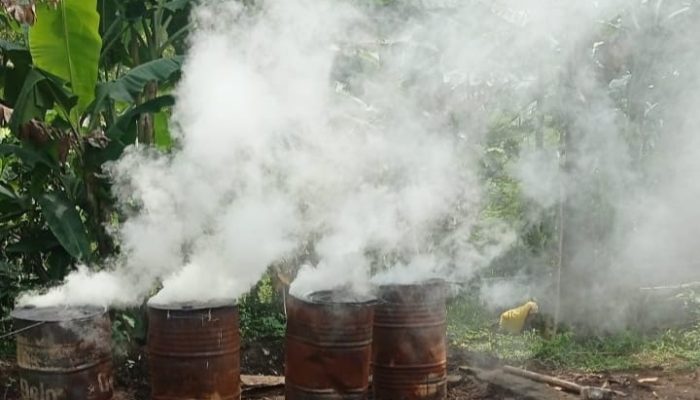 Merintis dari Nol, Batok Kelapa Disulap Jadi Arang Bernilai Ekonomi