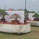 Ajang Pameran Bonsai Nasional 2025 di Pemalang : Seni, Ekonomi,dan Silahturahmi Alam