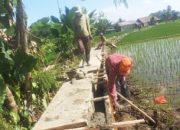 Peningkatan Irigasi D.I. Gintung II Dorong Ketahanan Pangan di Banyumas