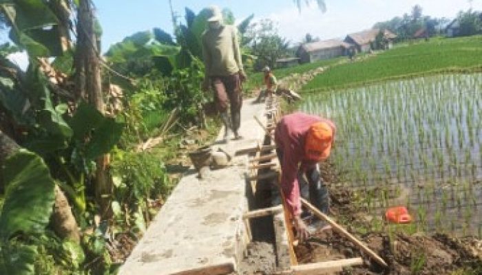 Peningkatan Irigasi D.I. Gintung II Dorong Ketahanan Pangan di Banyumas