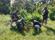 Jaga Kelestarian Lingkungan, Babinsa Gogodeso Bersama Warga Tanam Pohon Keras