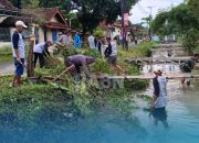Paguyuban Amal Bakti Cibelok Gelar Kerja Bakti Sambut HUT Pemalang ke-451