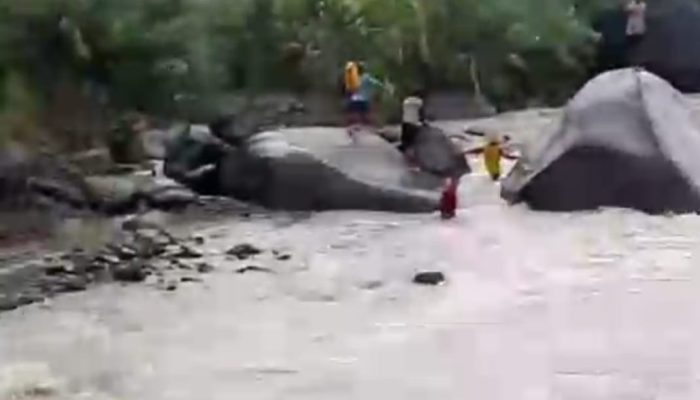 Bocah 10 Tahun Hanyut di Sungai Simpur Belik Pemalang, Tim SAR Gabungan Terus Lakukan Pencarian