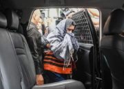 Bupati Pekalongan Resmi Jadi Tersangka, Fadia Arafiq Kenakan Rompi Oranye Usai OTT Komisi Pemberantasan Korupsi