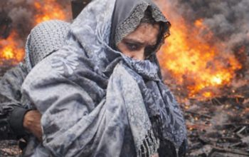 ART Jadi Direktur RNB, Proyek Miliaran Mengalir: Drama Perusahaan “Keluarga” di Balik Kekuasaan Bupati Pekalongan