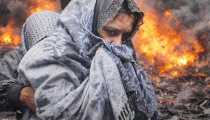 ART Jadi Direktur RNB, Proyek Miliaran Mengalir: Drama Perusahaan “Keluarga” di Balik Kekuasaan Bupati Pekalongan