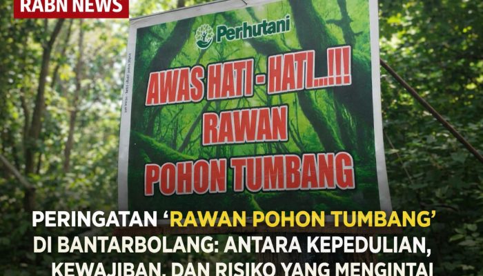 Peringatan “Awas Rawan Pohon Tumbang” di Bantarbolang Pemalang: Antara Kepedulian, Kewajiban, dan Risiko yang Mengintai
