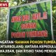 Peringatan “Awas Rawan Pohon Tumbang” di Bantarbolang Pemalang: Antara Kepedulian, Kewajiban, dan Risiko yang Mengintai