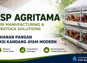 BSP Agritama Dorong Ketahanan Pangan Lewat Produksi Kandang Ayam Modern dari Pemalang