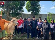 Ketua PSHT Cabang Pemalang Pusat Madiun Slamet Efendi,S.E.,M.M Serahkan Satu Ekor Sapi Kurban di Padepokan Mandala Kalimas, Wujud Penguatan Nilai Sosial Keagamaan