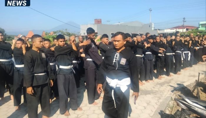 Gerbang Pendekar Terate: Ratusan Siswa PSHT Pemalang Jalani Ujian Penentu Status Warga