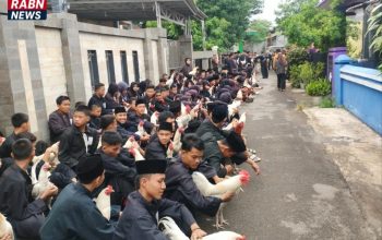 Pemeriksaan Ayam Jago Calon Warga PSHT Pemalang Digelar di Dua Lokasi, Utamakan Efektivitas dan Kemudahan Akses