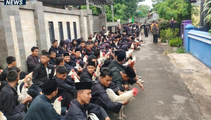 Pemeriksaan Ayam Jago Calon Warga PSHT Pemalang Digelar di Dua Lokasi, Utamakan Efektivitas dan Kemudahan Akses
