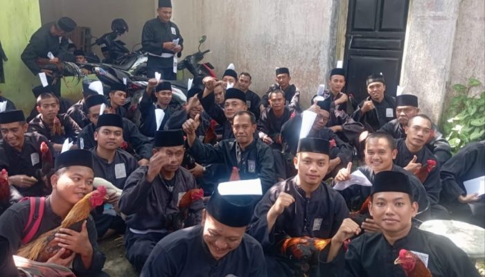 Tes Jago Jadi Simbol Kesiapan Mental dan Keikhlasan, 3264 Calon Warga PSHT Cabang Jember Pusat Madiun Jalani Tahapan Pengesahan