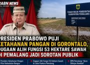 Presiden Prabowo Puji Ketahanan Pangan di Gorontalo, Dugaan Alih Fungsi 53 Hektare Sawah di Pemalang Jadi Sorotan Publik