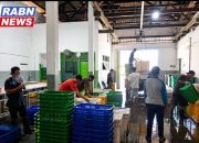 Depot Udang Vaname NATA AMANAT Pemalang Pasok Pasar Ekspor dan Dukung Program Makan Bergizi Gratis