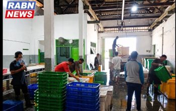 Depot Udang Vaname NATA AMANAT Pemalang Pasok Pasar Ekspor dan Dukung Program Makan Bergizi Gratis