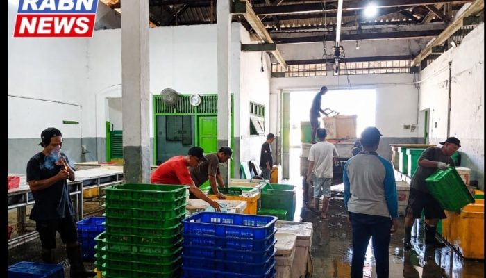Depot Udang Vaname NATA AMANAT Pemalang Pasok Pasar Ekspor dan Dukung Program Makan Bergizi Gratis