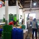 Depot Udang Vaname NATA AMANAT Pemalang Pasok Pasar Ekspor dan Dukung Program Makan Bergizi Gratis