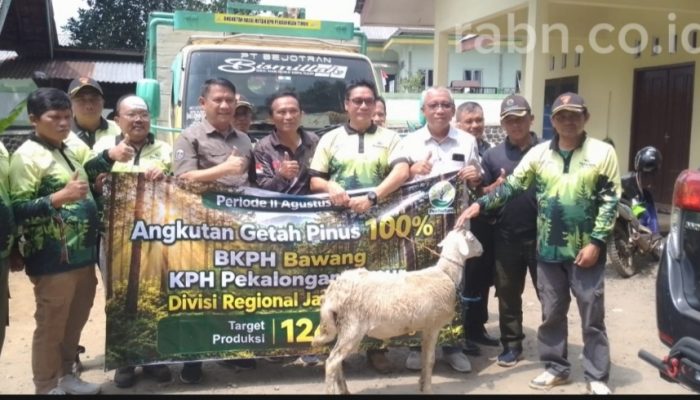 BKPH Bawang Capai Target Produksi Getah Pinus 100 Persen